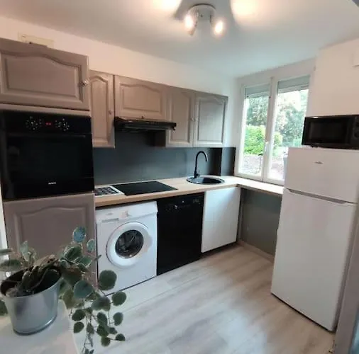 Duplex Cosy Gonesse